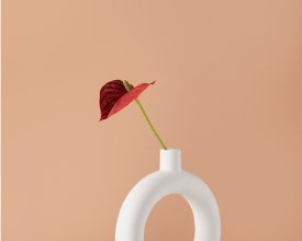 feature post
