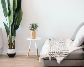 feature post