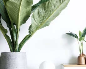 feature post
